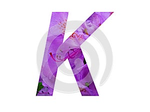 Letter K of the alphabet made with pink flower of Rhododendron