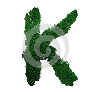 Letter K of the English alphabet made from green stabilized moss, isolated on white background