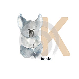 Letter K, koala, cute kids animal ABC alphabet. Watercolor illustration isolated on white background. Can be used for