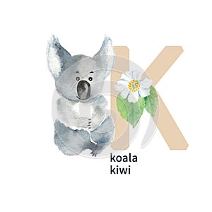 Letter K, koala and kiwi, cute kids colorful animals and flower ABC alphabet. Watercolor illustration isolated on white