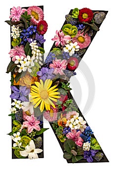 Letter K made of real natural flowers and leaves on transparent background.
