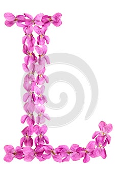 Letter L from alphabet, from flowers of violet, isolated on white background