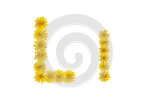 Letter L, alphabet made from yellow Wedelia flowers