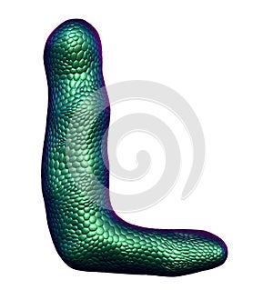 Letter L made of natural green snake skin texture isolated on white.