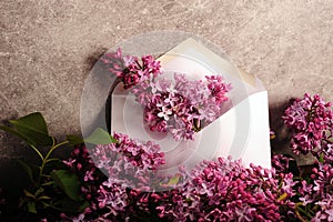 Letter of Lilacs photo