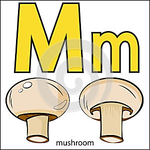 The letter M. Fruit, vegetable alphabet. Letters and mushrooms. Champignons, whole and cut.