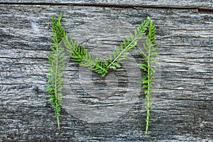 Letter M from leaves on a wooden surface