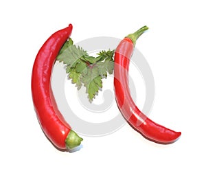 letter M from red chili pepper and green herbs, parsley letter for herb cook book, recipe photo
