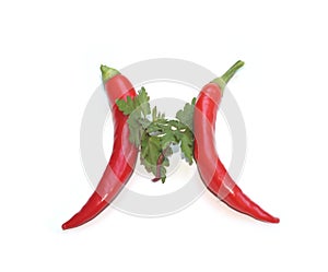 letter M from red chili pepper and green parsley, herbs letter for recipe photo