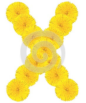 Letter X made from dandelions