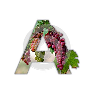 Letter A made of real grapes