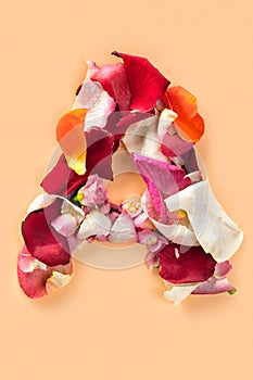 Letter A made from red roses and petals isolated on a white background