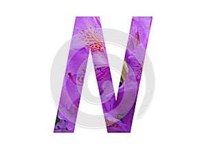 Letter N of the alphabet made with pink flower of Rhododendron