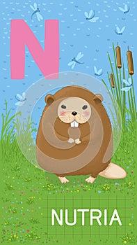 Letter N, animal ABC