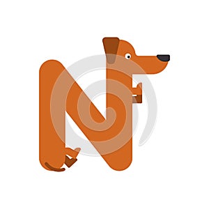 Letter N is dog. pet font. Dachshund alphabet. Lettering home an