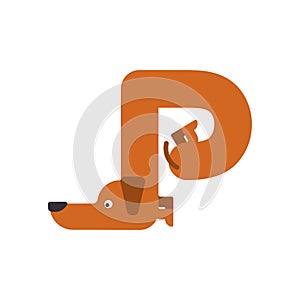 Letter N is dog. pet font. Dachshund alphabet. Lettering home an