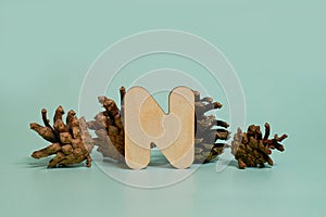 Letter N. A wooden letter of the English alphabet and four pine cones