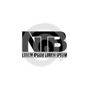 Letter NTB simple monogram logo icon design. photo