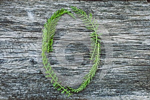 Letter O from leaves on a wooden surface