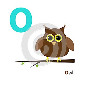 Letter O Owl Zoo alphabet. English abc with animals Education cards for kids White background Flat design