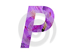 Letter P of the alphabet made with pink flower of Rhododendron