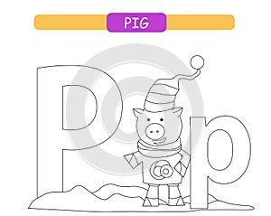 Letter P and funny cartoon pig. Coloring page. Animals alphabet a-z. Cute zoo alphabet in vector for kids learning English vocabul