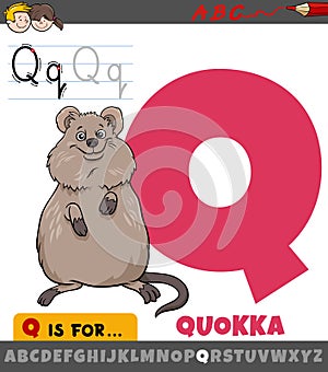 Letter Q from alphabet with cartoon quokka animal character