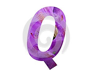 Letter Q of the alphabet made with pink flower of Rhododendron