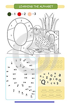 Letter Q and funny cartoon quail. Animals alphabet a-z. Coloring page. Printable worksheet. Handwriting practice. Connect the dots