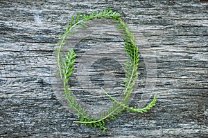 Letter Q from leaves on a wooden surface