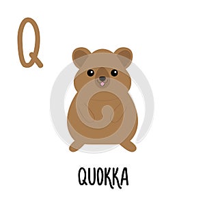 Letter Q Quokka. Animal and food alphabet for kids. Cute cartoon kawaii English abc. Funny Zoo Fruit Vegetable learning. Education photo