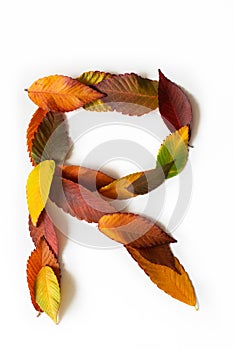 Letter R of colorful autumn leaves. Character R mades of fall foliage. Autumnal design font concept. Seasonal decorative beautiful