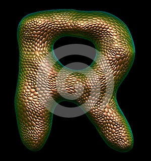 Letter R made of natural gold snake skin texture isolated on black.