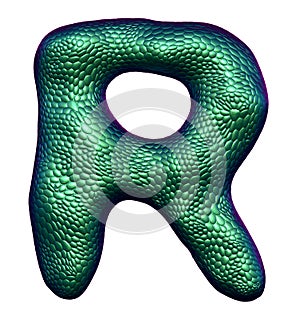 Letter R made of natural green snake skin texture isolated on white.