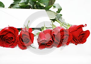 Letter in red roses