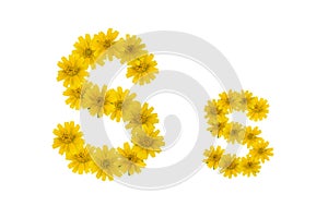 Letter S, alphabet made from yellow Wedelia flowers