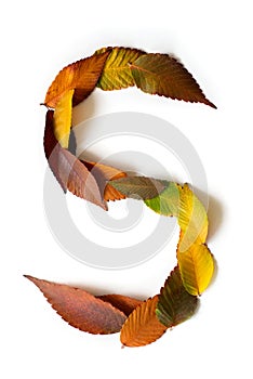 Letter S of colorful autumn leaves. Character S mades of fall foliage. Autumnal design font concept. Seasonal decorative beautiful