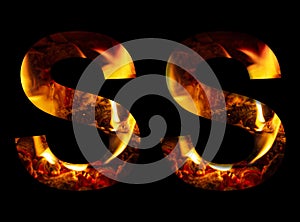 The letter S made from fire and burning wood on a black background, a double version of the alphabet for decorative signatures