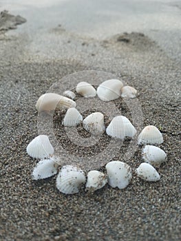 The letter S made of seashells