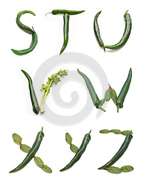 letter s t u v w x y z from chili peppers, green salad lettuce leaf vegetable
