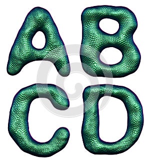 Letter set A, B, C, D made of realistic 3d render natural green snake skin texture.