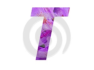 Letter T of the alphabet made with pink flower of Rhododendron