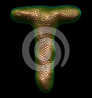 Letter T made of natural gold snake skin texture isolated on black.