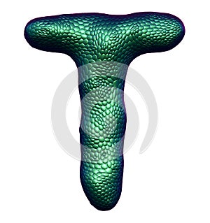 Letter T made of natural green snake skin texture isolated on white.