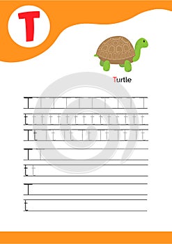Letter T with a picture of turtle and seven lines of letter T writing practice. Handwriting practice and alphabet learning