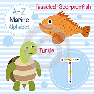 Letter T tracing. Turtle. Tasseled Scorpionfish. Marine alphabet