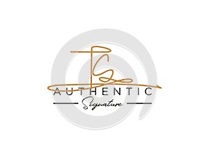 Letter TC Signature Logo Template Vector