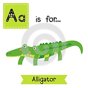 A letter tracing. Alligator.