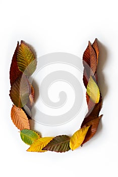 Letter U of colorful autumn leaves. Character U mades of fall foliage. Autumnal design font concept. Seasonal decorative beautiful