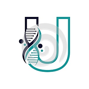 Letter U with DNA logo or symbol Template design vector